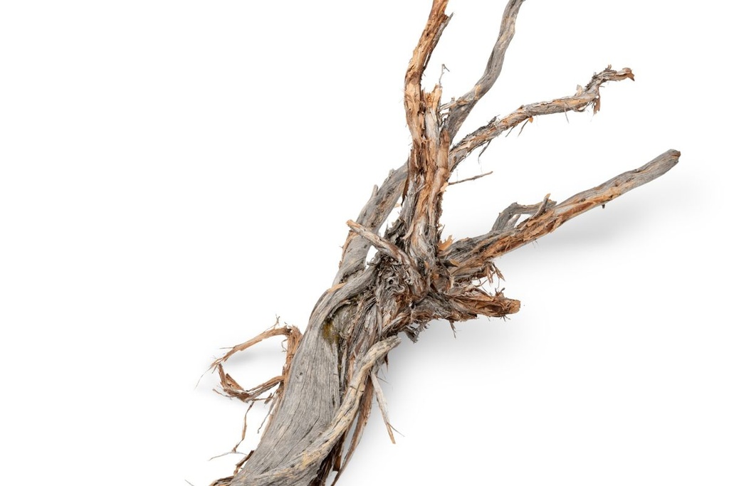 Ghostwood Baum Natur mit Rinde ca. 90cm  2