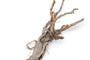 Ghostwood Baum Natur mit Rinde ca. 90cm  2