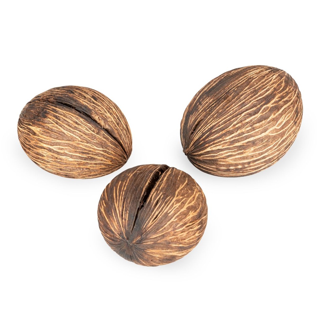 Mintola Ball natur 8-12cm Cerbera odolla 2
