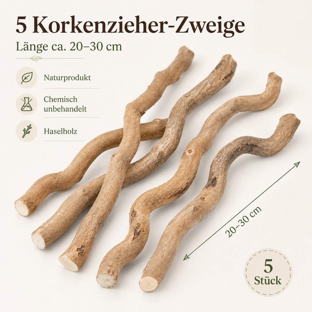 Korkenzieherzweige 5 Stk. 20-30 cm Dekoa 2