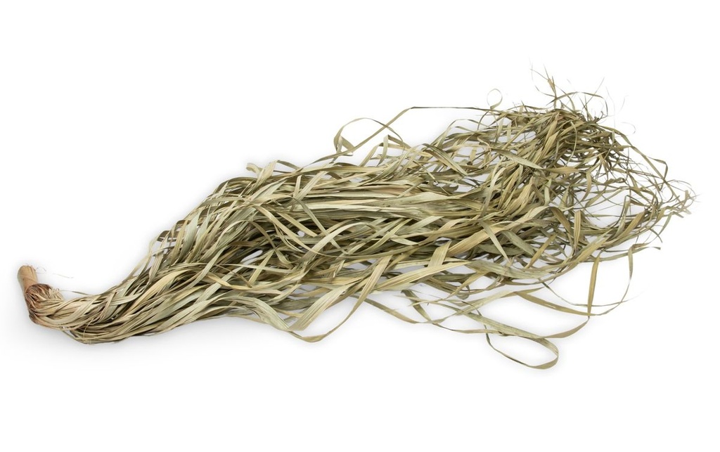 Großes Deko Palmenblatt Bündel zur Dekor 2