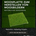 Moosplatte, Quadratisch, Größe ca. 38 x  2