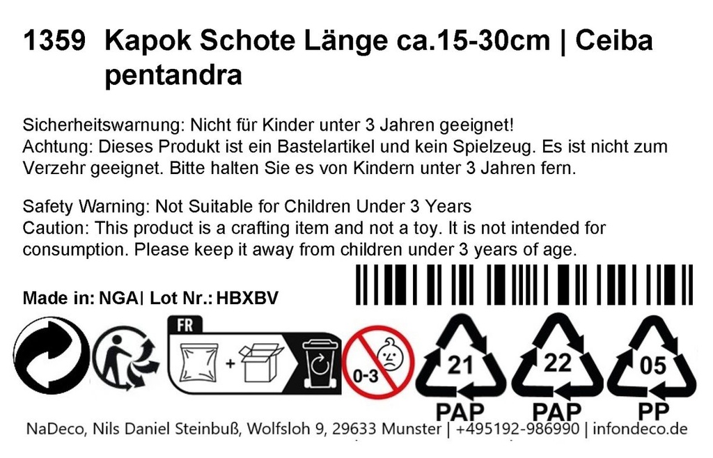 Kapok Schote Länge ca.15-30cm | Ceiba pe 2