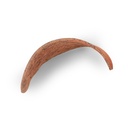 Naturdeko Hornschote 10–12cm – exotische 2
