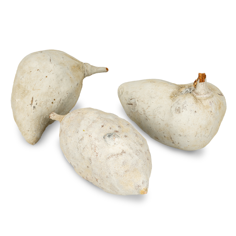 Baobab Frucht grau ca. 9-12cm | Adansoni 2