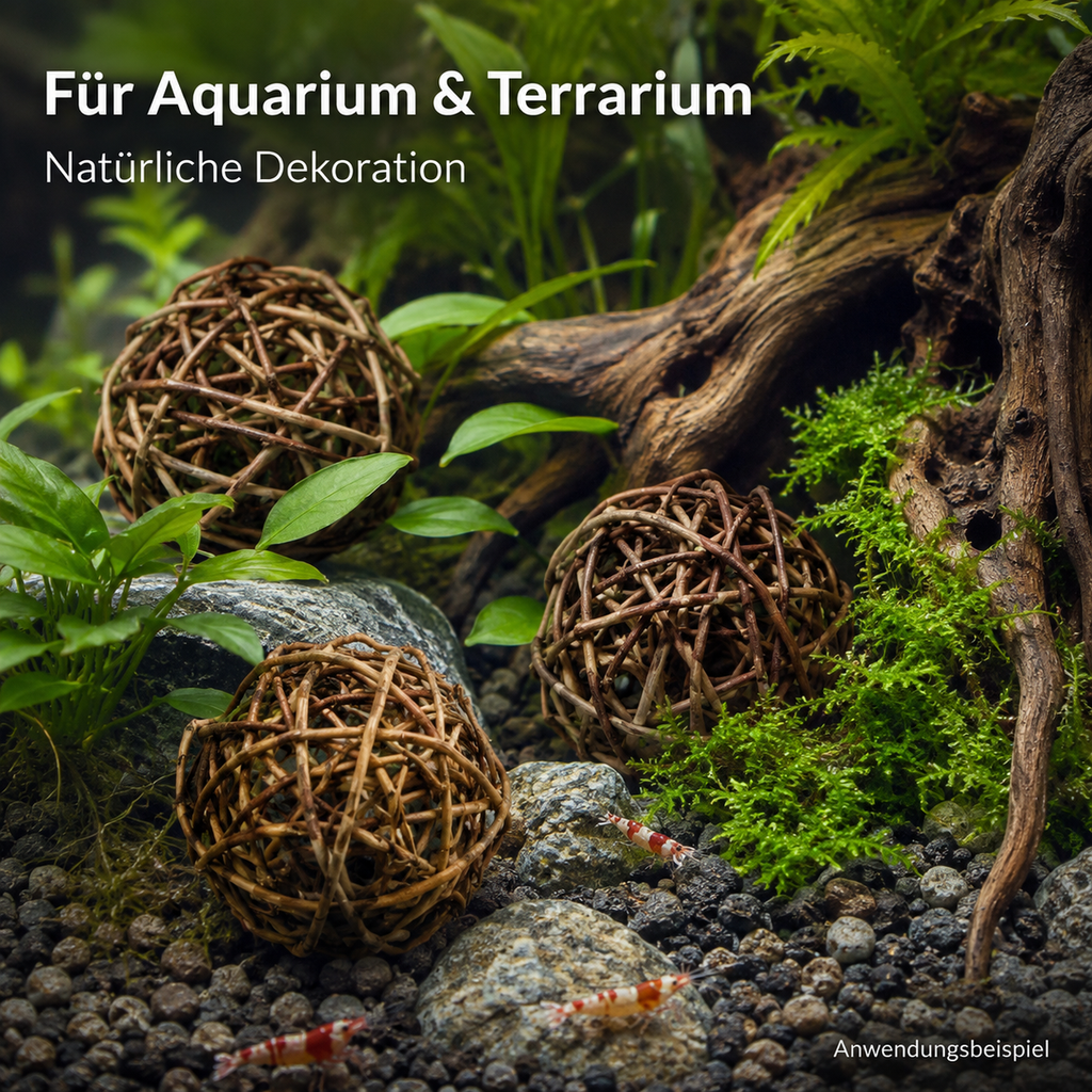 Brunch Ball Natur 20 Stk. 6 cm Rankenkug 2