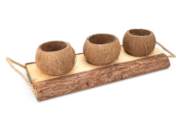 Holzschale mit Kokosnuss-Bechern in zwei 2