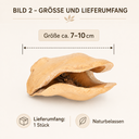 Froschmaulschote natur 7–10 cm Jacaranda 2