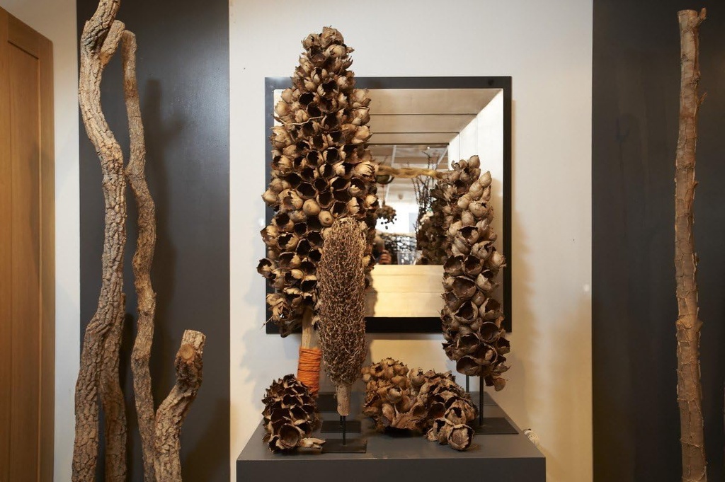 Cacho de Coco ca.120-190cm 2