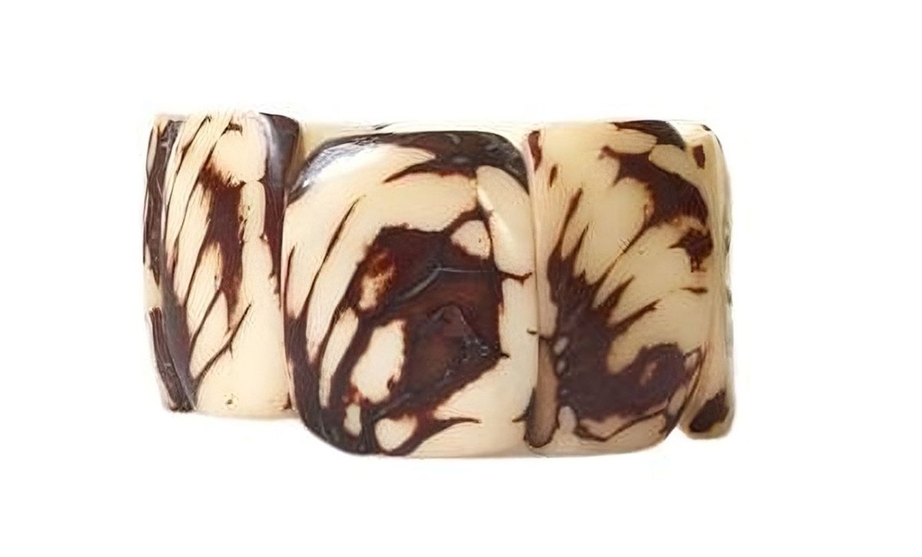 Tagua Nüsse Natur unpoliert, verpackt mi 2