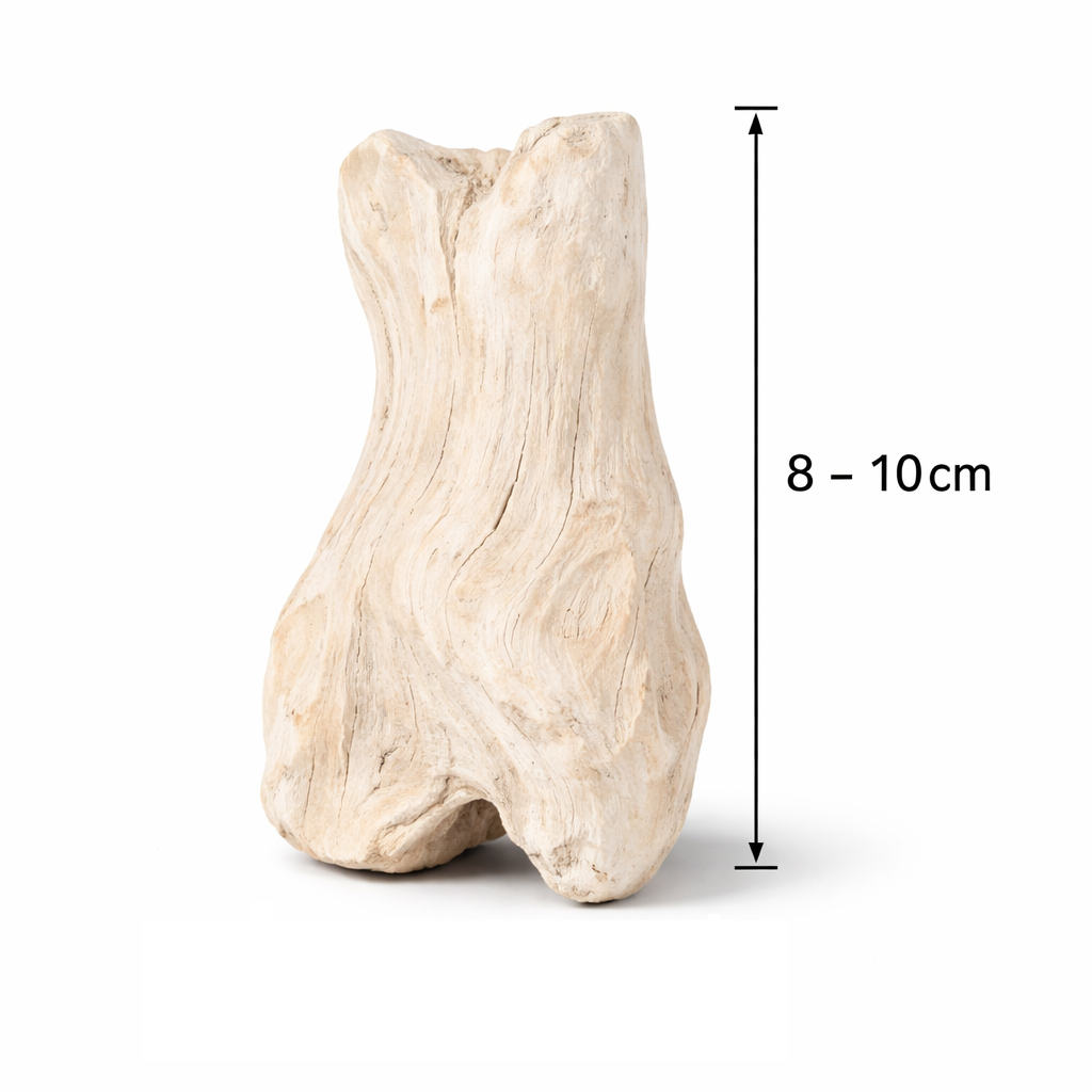 Teak-Treibholz gebleicht 1kg, ca. 8–10 c 2