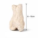 Teak-Treibholz gebleicht 1kg, ca. 8–10 c 2
