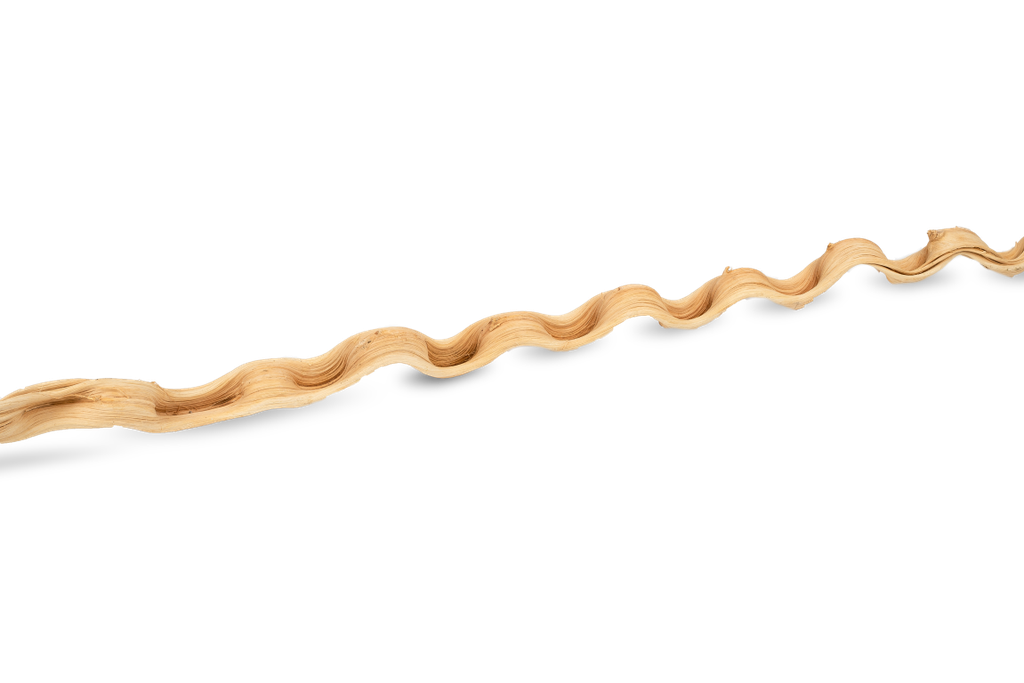 Sapla Liane, gebleicht, Länge ca. 160cm  2