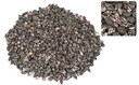 Nassa columbella, verpackt mit 0,5 kg, G 2