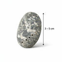Abalone Muscheln 0,5kg (70–90 Stk) Halio 2