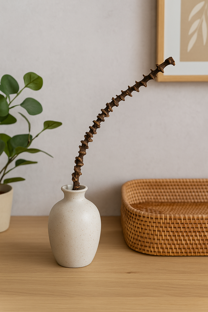Bananenstiel Natur 30cm – Deko Zweig Mus 2