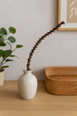 Bananenstiel Natur 30cm – Deko Zweig Mus 2
