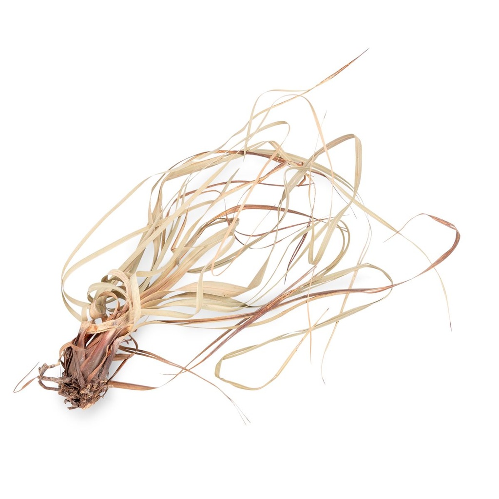 1037-Tiririca--Packung-mit-ca--250g---Cyperus-rotundus_3.jpg