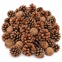 Tannenzapfen 1 kg, ca. 50-70 Stück, 5-6 cm, Pinus nigra, Naturdeko – Hauptbild