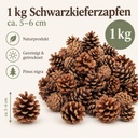 Tannenzapfen 1 kg, ca. 50-70 Stück, 5-6 cm, Pinus nigra, Naturdeko – Maße
