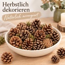 Tannenzapfen 1 kg, ca. 50-70 Stück, 5-6 cm, Pinus nigra, Naturdeko – Anwendung 1