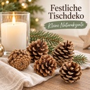 Tannenzapfen 1 kg, ca. 50-70 Stück, 5-6 cm, Pinus nigra, Naturdeko – Anwendung 2