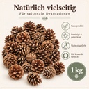 Tannenzapfen 1 kg, ca. 50-70 Stück, 5-6 cm, Pinus nigra, Naturdeko – Eigenschaften