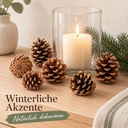 Tannenzapfen 1 kg, ca. 50-70 Stück, 5-6 cm, Pinus nigra, Naturdeko – Wohnszene