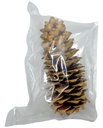 1047-Lambertiana-Tannenzapfen--Groesse-20-30cm---Pinus-lambertiana--_7.jpg