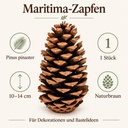 Maritima Zapfen 10-14 cm, 1 Stück, Pinus pinaster, naturbelassen – Eigenschaften
