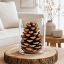 1048-Pinus-maritima-1-Stk--10-14-cm-Pinus-pinaster-Kiefernzapfen-Deko-Advent-Natur_4.png