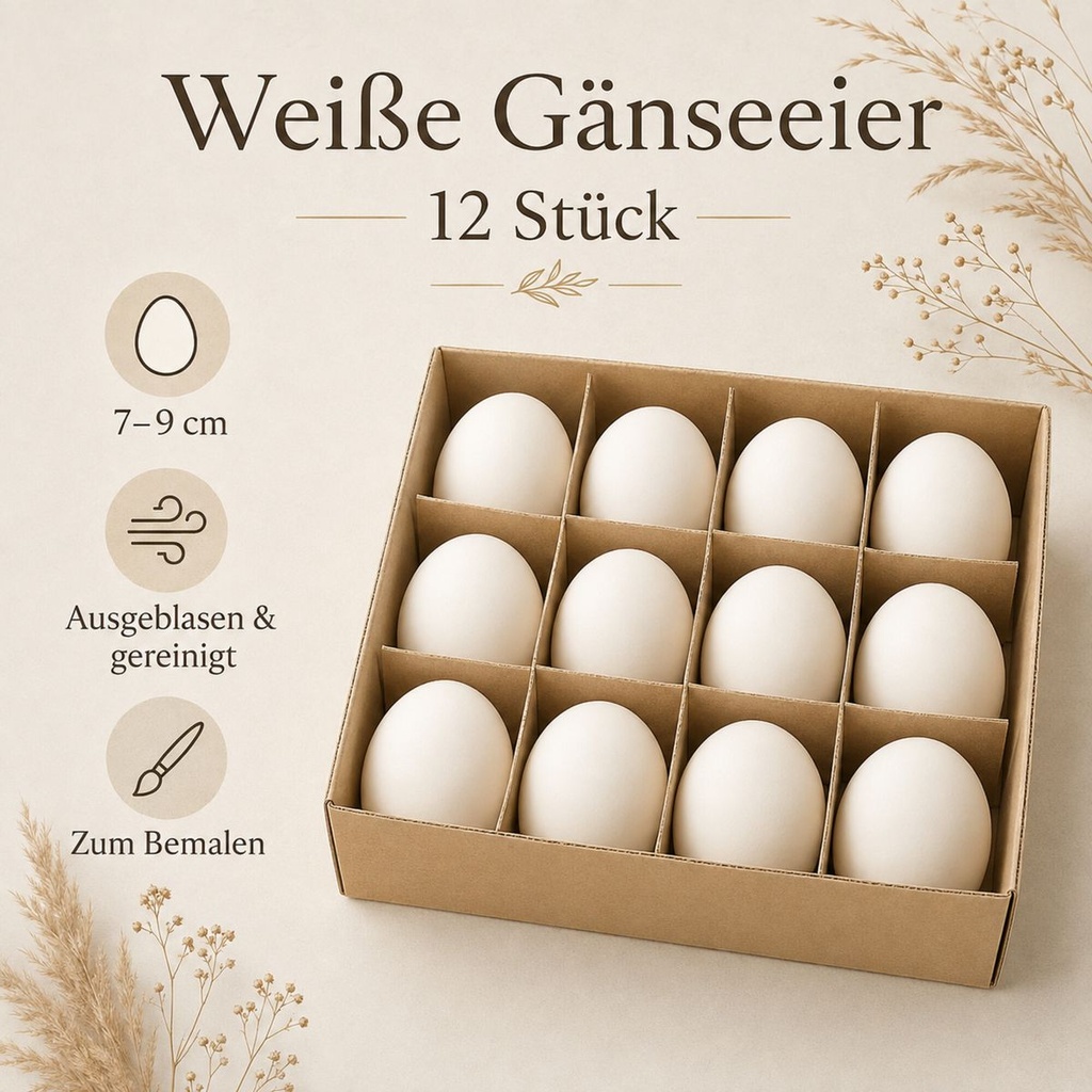Gänseeier ausgeblasen im Karton mit Maßangabe 7-9 cm je Ei, gereinigt und zum Bemalen