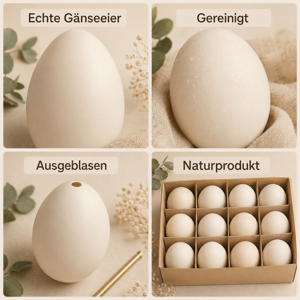 Gänseeier ausgeblasen 12 Stück — Übersicht: echte Eier, gereinigt, ausgeblasen, Naturprodukt