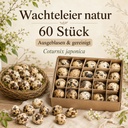 1085-60x-Wachteleier-Natur-ausgeblasen-gereinigt-Deko-Ostern-Fruehling-Basteln-DIY-.jpg