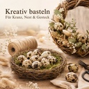 1085-60x-Wachteleier-Natur-ausgeblasen-gereinigt-Deko-Ostern-Fruehling-Basteln-DIY-_3.jpg
