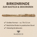 Birkenrinde zum Basteln und Dekorieren,  2