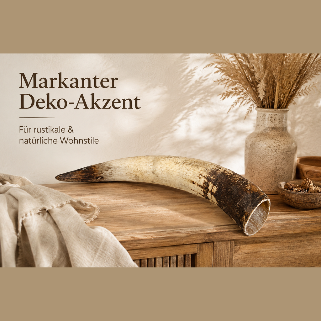 1252-Rinderhorn-natur-50-59-cm-Watussi-Horn-Kuhhorn-Stierhorn-Tierhorn-Afrika-Deko_5.png