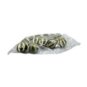 1324-Orangen--ganze-Frucht--geschlitzt--ca--250g---Citrus-sinensis-_4.jpg