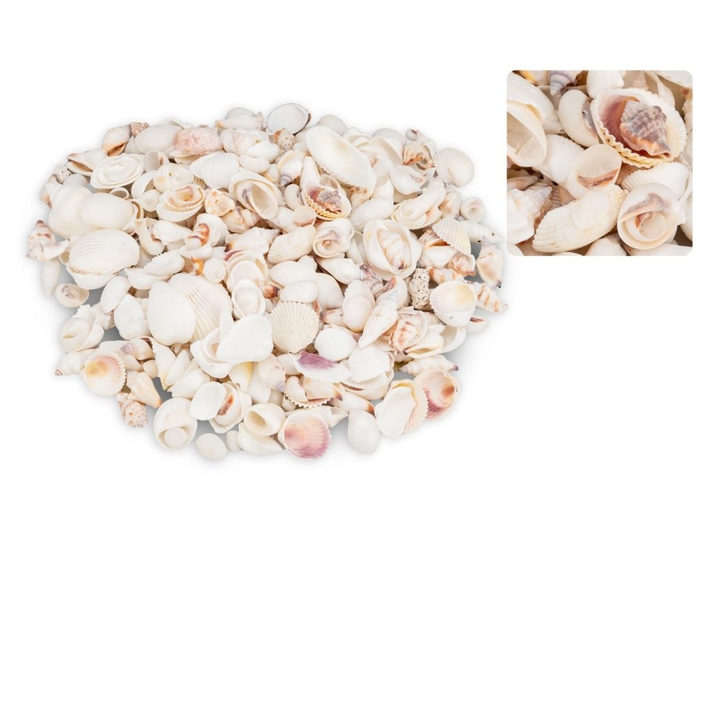 1345-Muschelmix-weiss-1-kg-1---6-cm-Deko-Muscheln-Schneckenhaeuser-maritime-Basteln-DIY_1.jpg