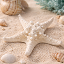 1350-Deko-Seestern-weiss-10---15---cm-----Echter-Noppen-Seestern-gebleicht---Protoreaster-nodosus-Naturprodukt-aus-dem-Indopazifik---Maritime-Dekoration-fuer-Tischdeko--Hochzeit--DIY-Baste.png