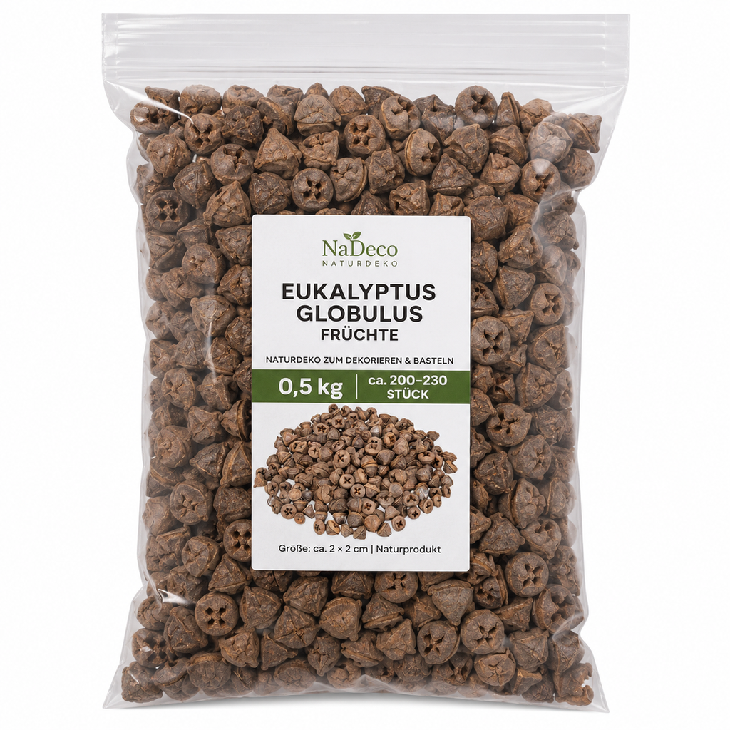 1420-Eukalyptus-globulus-Fruechte-0-5kg-ca--200-230-Stk--Naturdeko-Floristik-Basteln_3.png