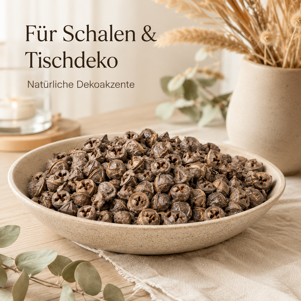 1420-Eukalyptus-globulus-Fruechte-0-5kg-ca--200-230-Stk--Naturdeko-Floristik-Basteln_4.png