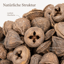 1420-Eukalyptus-globulus-Fruechte-0-5kg-ca--200-230-Stk--Naturdeko-Floristik-Basteln_6.png