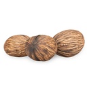 1433-Mintola-Ball-natur-8-12cm-Cerbera-odollam-Dekofrucht-Schalen-Deko-Floristik_2.jpg