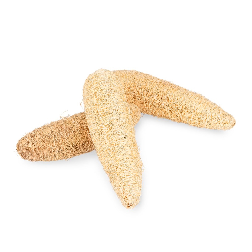 1440-Schwammgurke-geschaelt--ca--12---16-cm--4---6-cm-Durchmesser--Luffa-aegyptiaca--Seifenherstellung--Naturschwamm--Vogelspielzeug--Knabbermaterial--Luffa-Schwamm--Luffaschwamm--Schwam_2.jpg