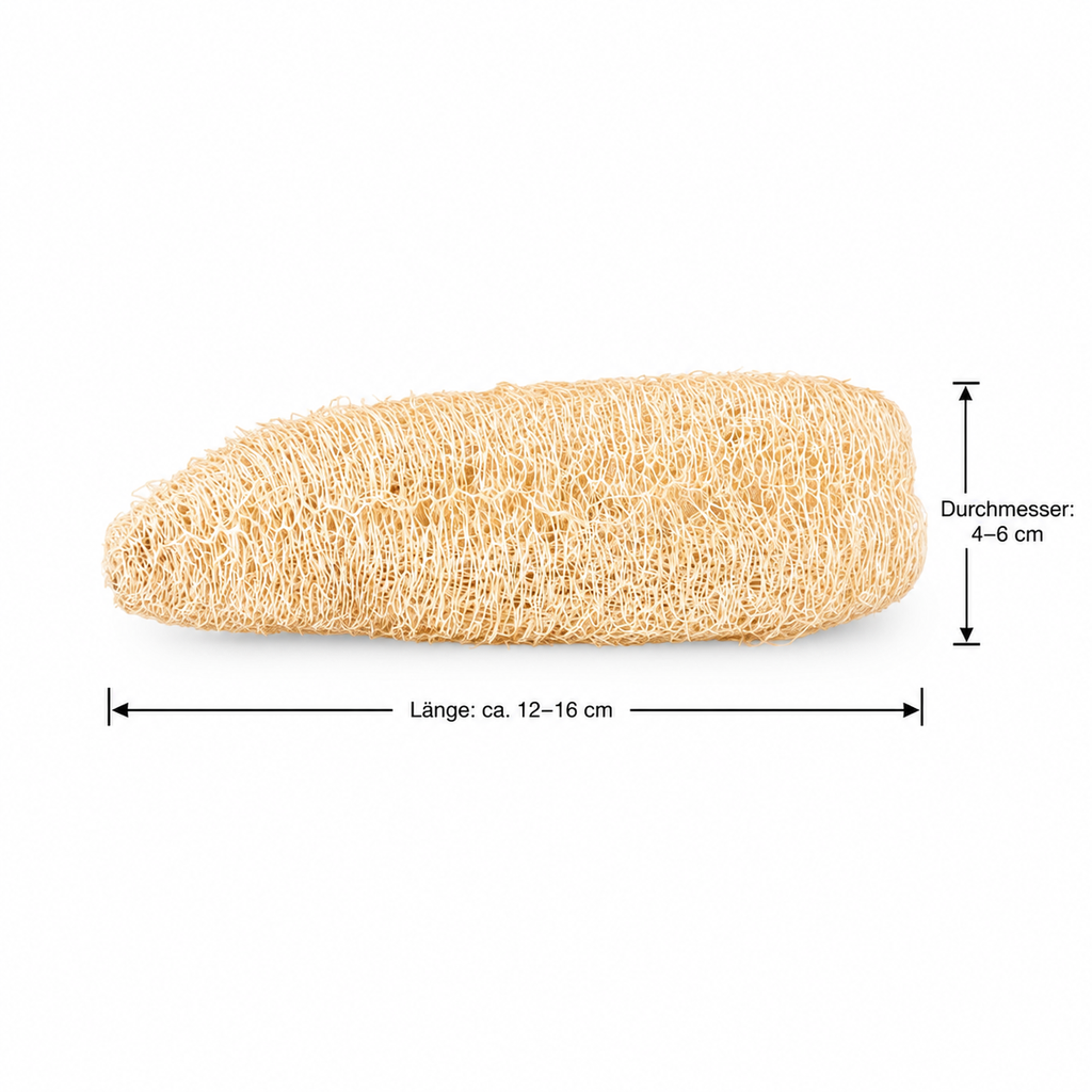 1440-Schwammgurke-geschaelt--ca--12---16-cm--4---6-cm-Durchmesser--Luffa-aegyptiaca--Seifenherstellung--Naturschwamm--Vogelspielzeug--Knabbermaterial--Luffa-Schwamm--Luffaschwamm--Schwammk.png