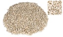 Umbonium vestiarium, Weiß, verpackt mit  2
