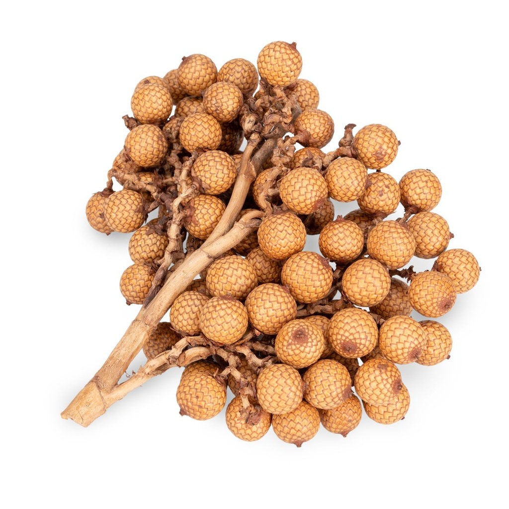 1466-Rattan-Frucht-Zweige-500g-Naturdeko-getrocknet-Boho-Deko-Floristik-Indonesien_2.jpg
