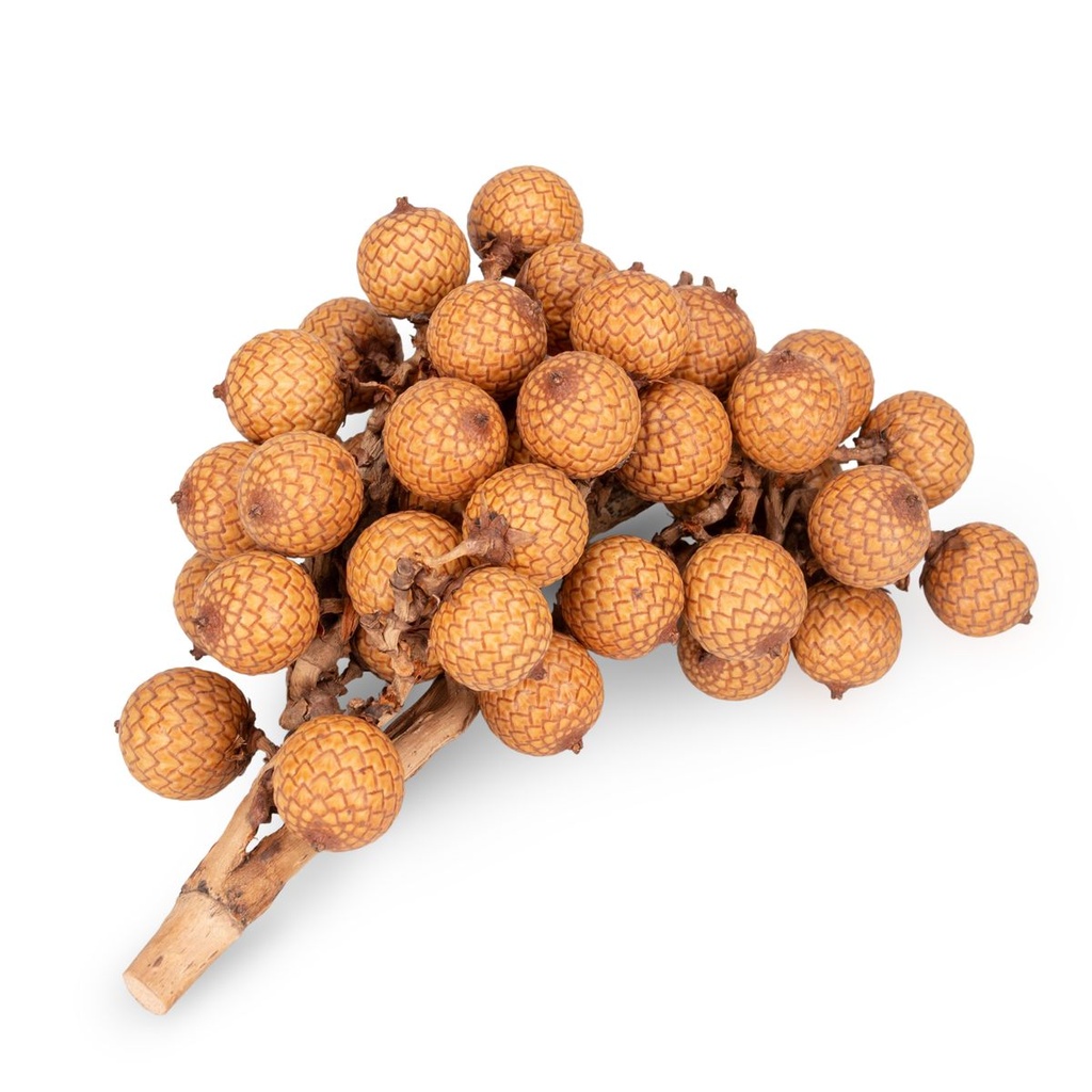 1466-Rattan-Frucht-Zweige-500g-Naturdeko-getrocknet-Boho-Deko-Floristik-Indonesien_3.jpg