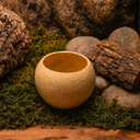 1477-Bell-Cup-Natur--Groesse-ca--5-6cm----Aegle-marmelos_2.png